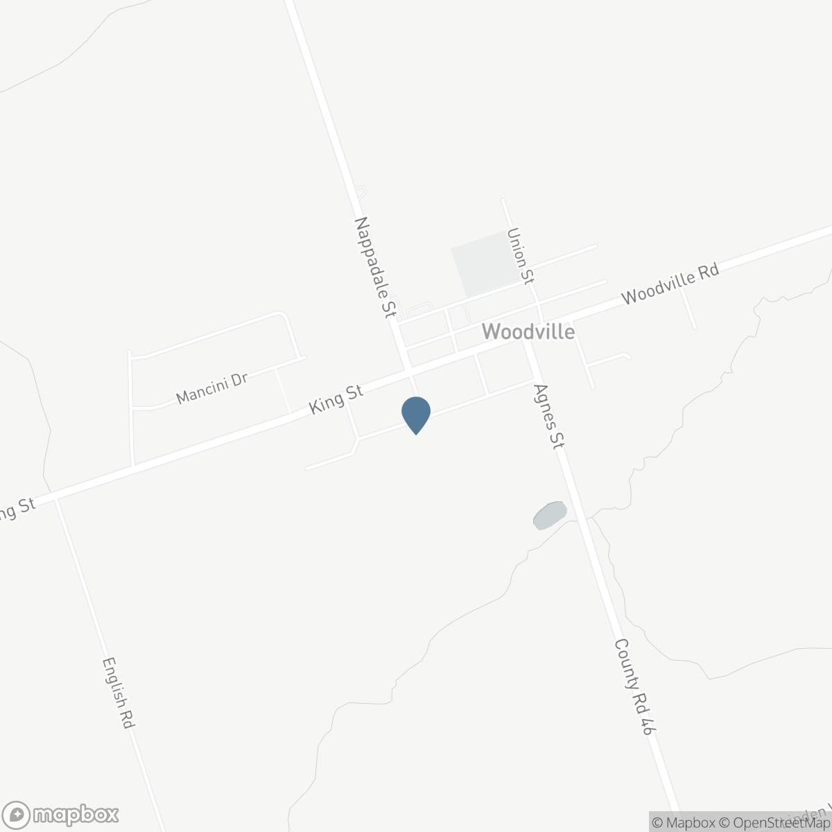 100 NAPPADALE STREET, Kawartha Lakes, Ontario K0M 2T0